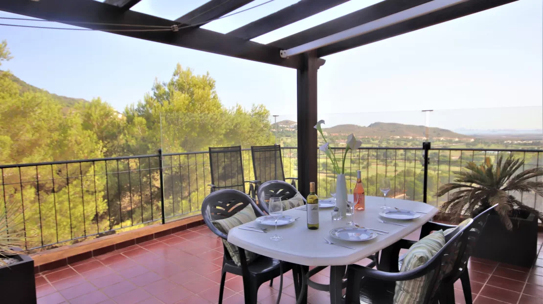 EL pinar 02 terrace dining area