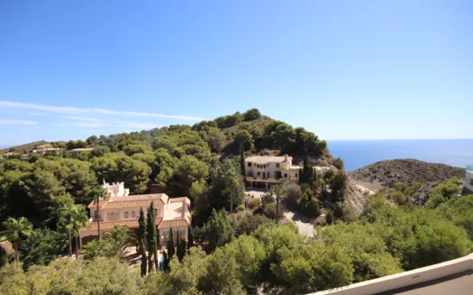 Coto Alto Individual Villa